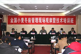 技術推廣服務中心 驅(qū)動創(chuàng)新與發(fā)展的關鍵橋梁